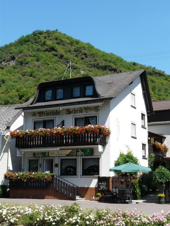 Pension / Ferienwohnungen Scheid Kestert Екстер'єр фото