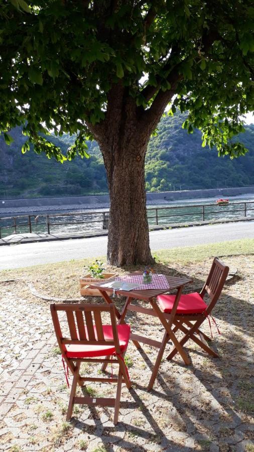 Pension / Ferienwohnungen Scheid Kestert Екстер'єр фото