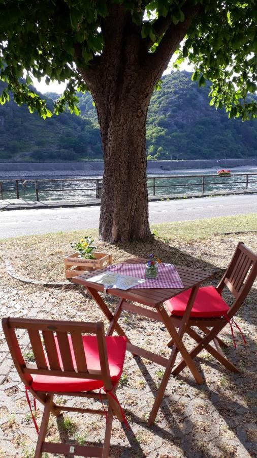 Pension / Ferienwohnungen Scheid Kestert Екстер'єр фото